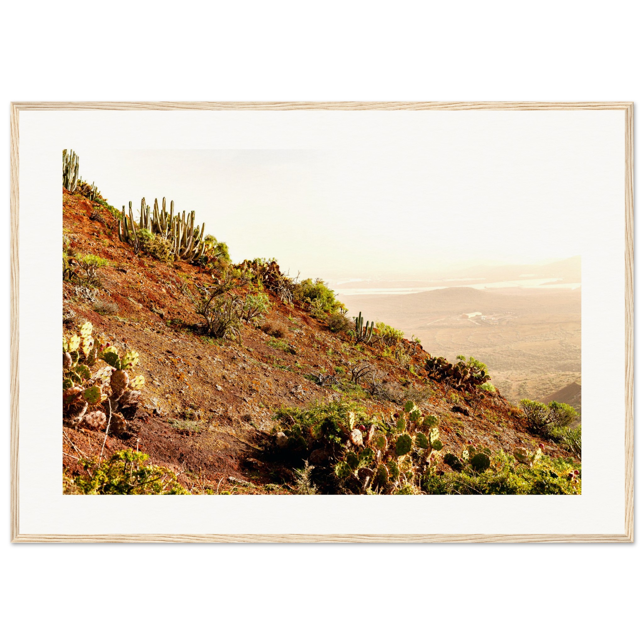 18d0002c-352d-436f-86e0-2b8fa3a71c2b.jpg 18d0002c-352d-436f-86e0-2b8fa3a71c2b