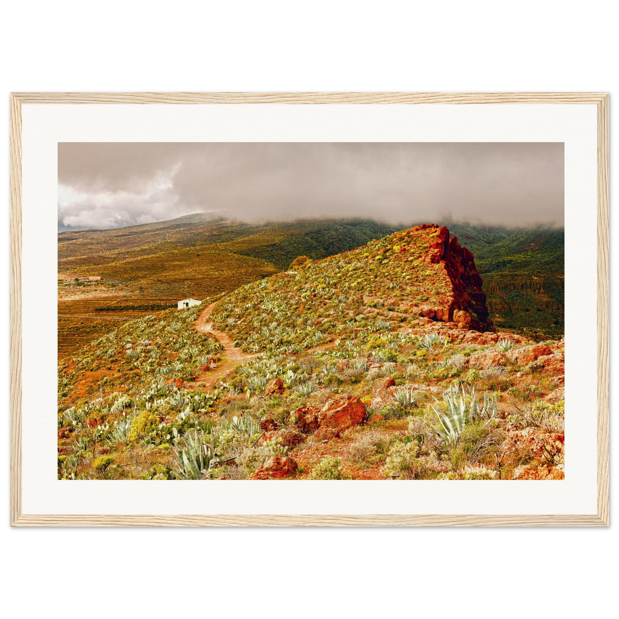 4e3dd469-0fc8-42bf-873f-d13c61d05d1a.jpg 4e3dd469-0fc8-42bf-873f-d13c61d05d1a