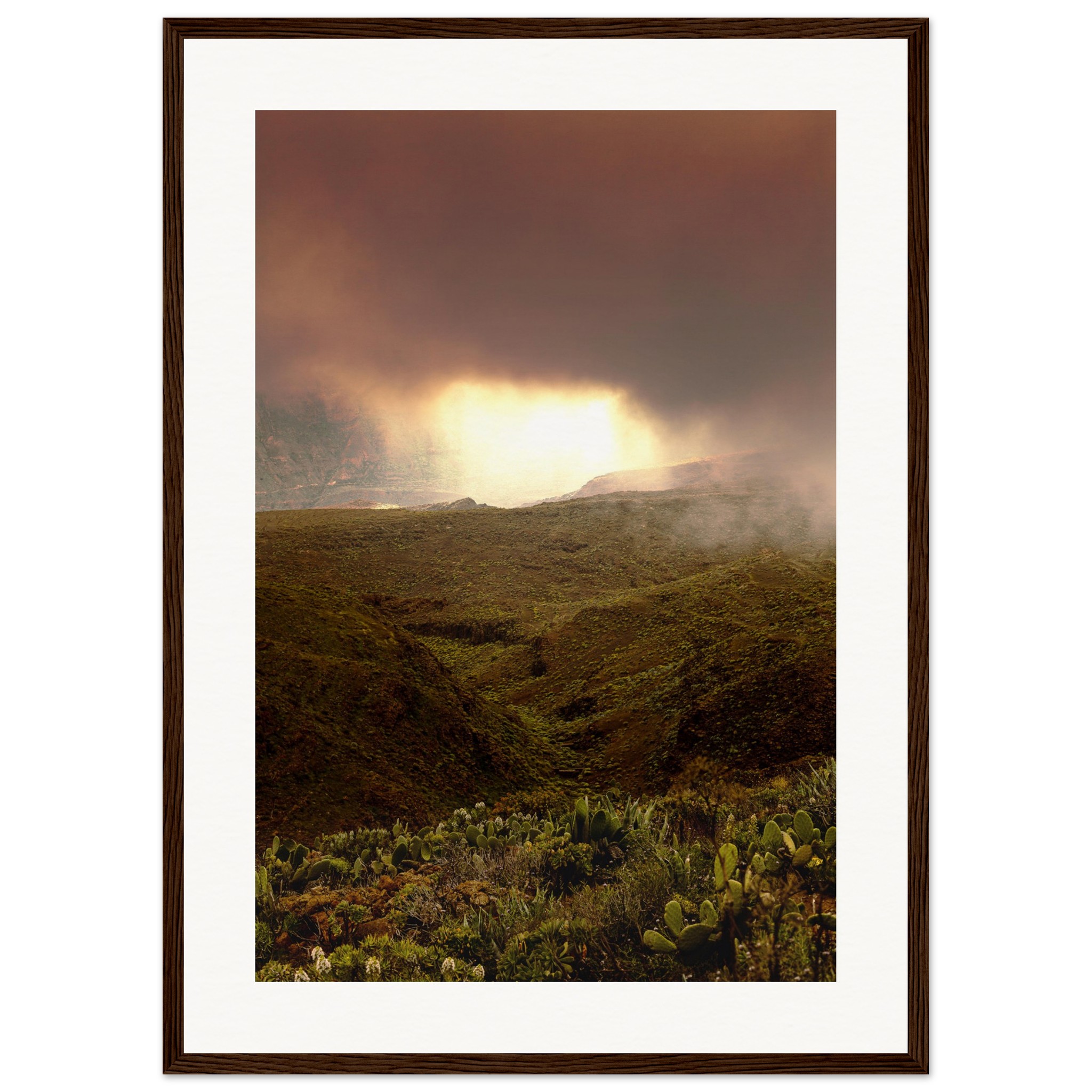 6d18c4e8-9249-4f3a-95cf-4ff6a5f2cb96.jpg 6d18c4e8-9249-4f3a-95cf-4ff6a5f2cb96