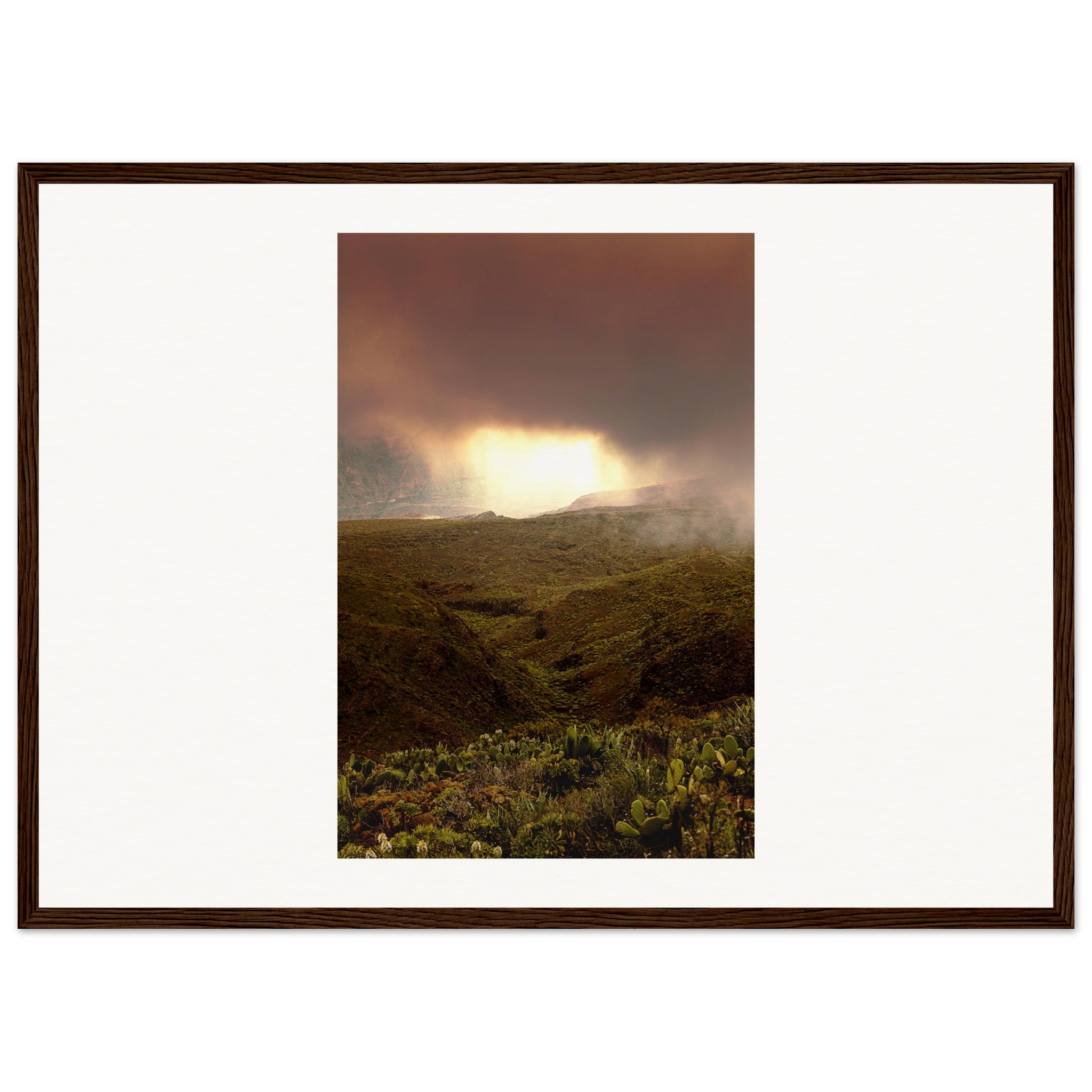 b3248803-4c42-458d-9ad7-af2aee939317.jpg b3248803-4c42-458d-9ad7-af2aee939317