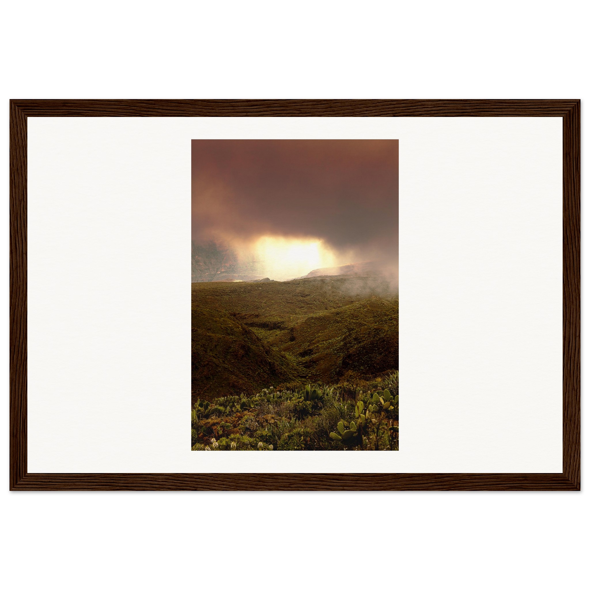 d5ef224b-91d6-4902-9072-7e058a7f9907.jpg d5ef224b-91d6-4902-9072-7e058a7f9907